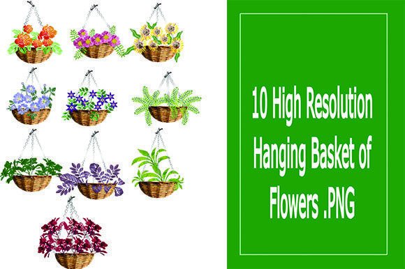 10 Hanging Basket of Flowers Graphics and Illustrations Review