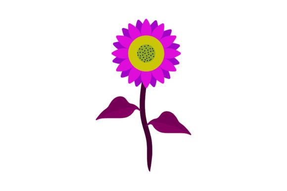 Flowers Beauty Spring Flora Blooming Graphics and Illustrations Review