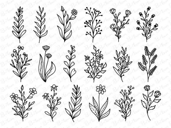 Flowers Set Line Art Graphics and Illustrations Review