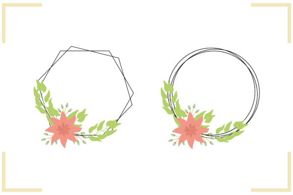 Frame Flowers Set Illustration Graphics Review