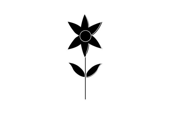 Little Flowers Illustrations Review