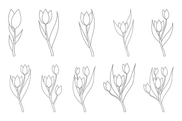 Tulip Flowers Line Art Illustration Set Graphics