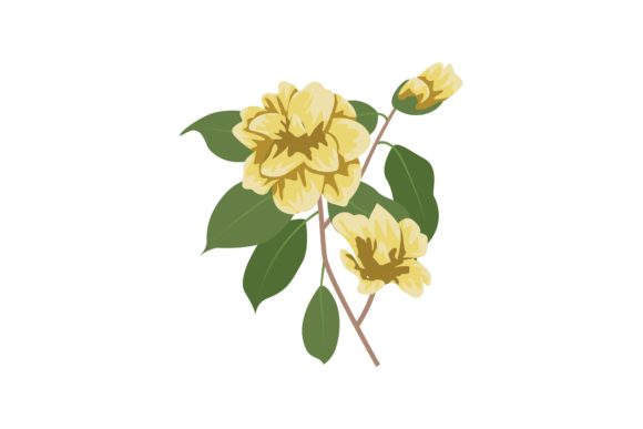 Yellow Garden Roses Illustration Graphics Review